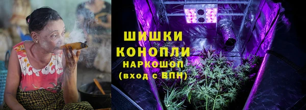гидропоника Алзамай