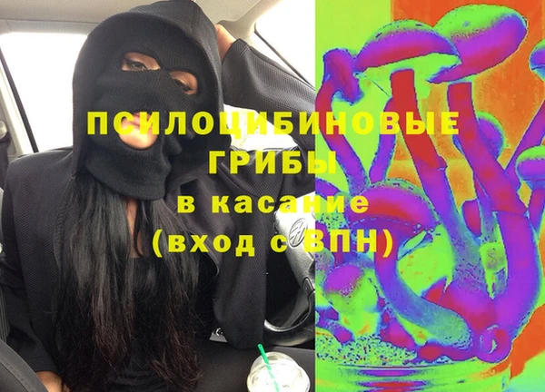 гидропоника Алзамай