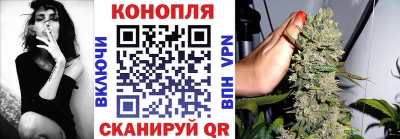 Купить где Исилькуль Каннабис марихуана